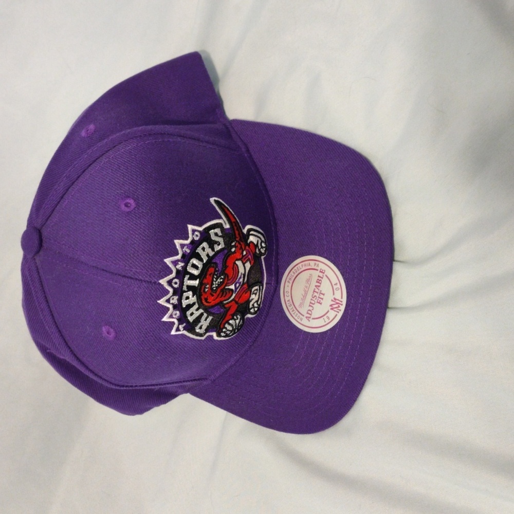 Raptors Adjustable cap